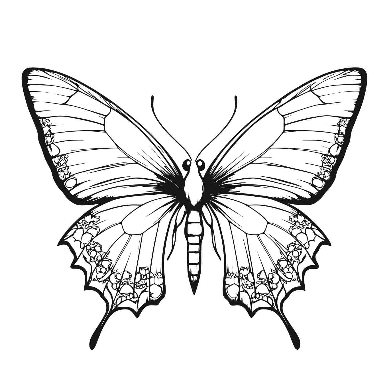 Intricate Butterfly Line Art