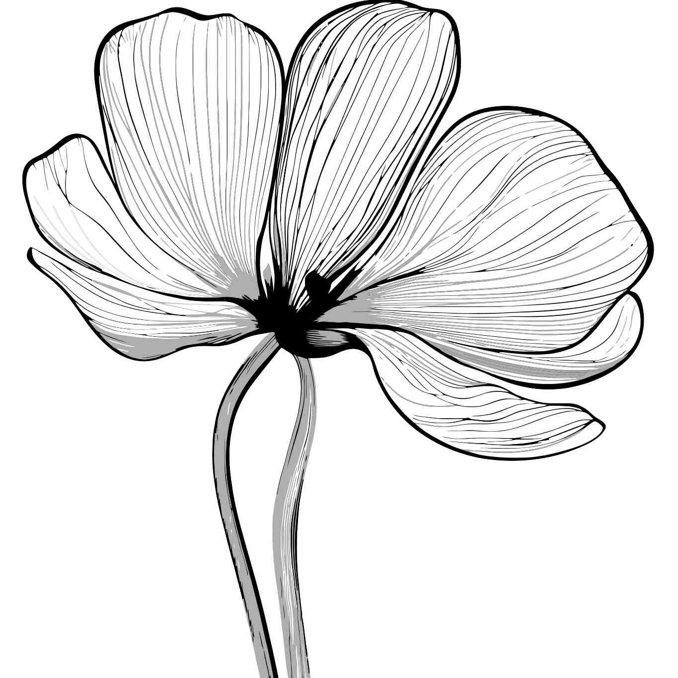 Elegant Floral Illustration