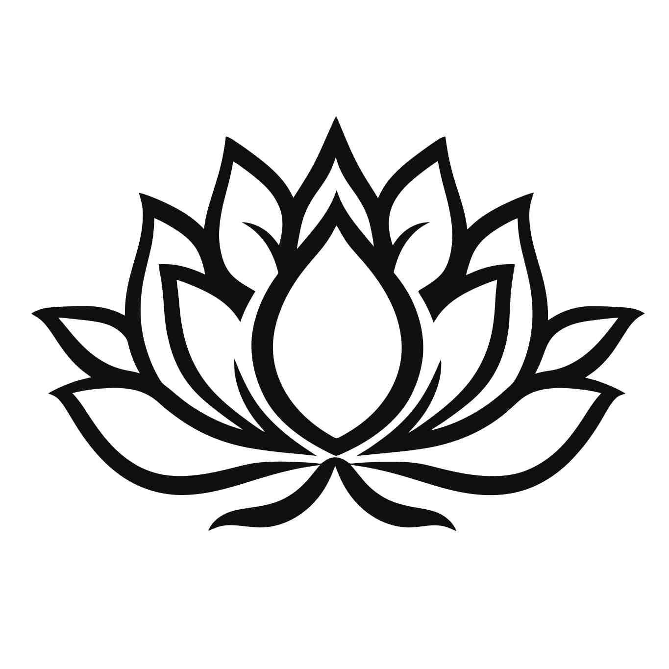 Elegant Black and White Lotus Illustration