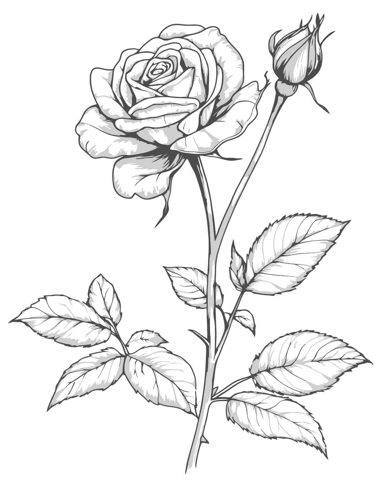 Elegant Black and White Rose Illustration