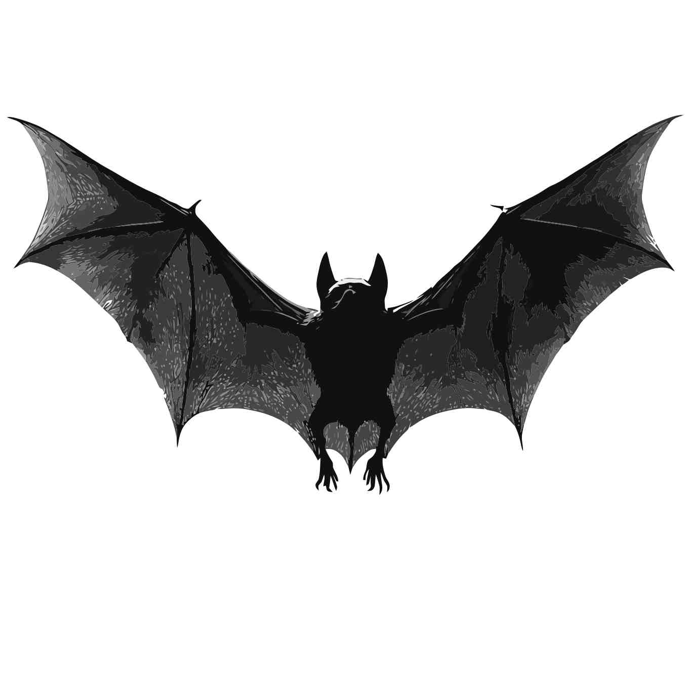 Elegant Halloween Bat Silhouette