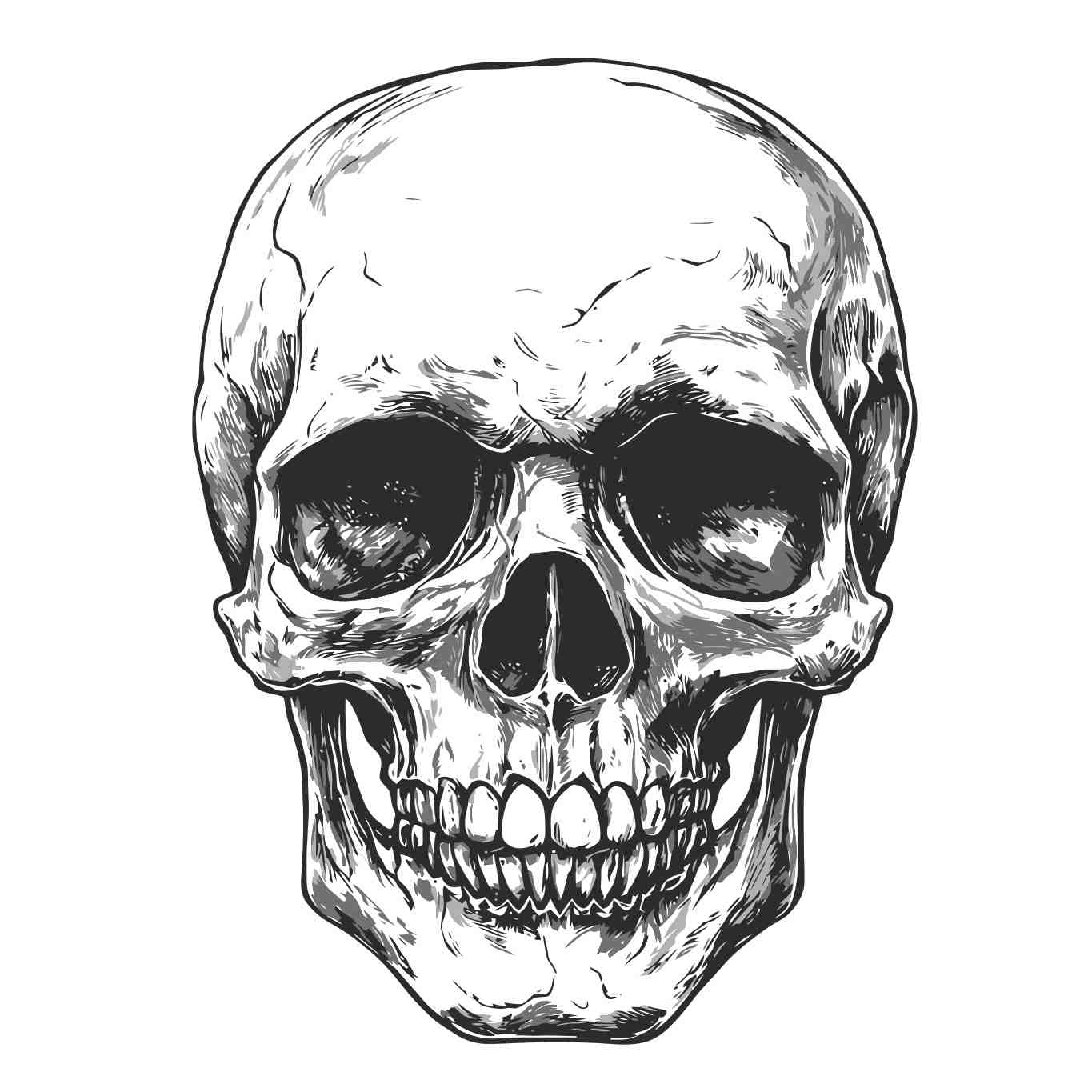 Intricate Halloween Skull Illustration